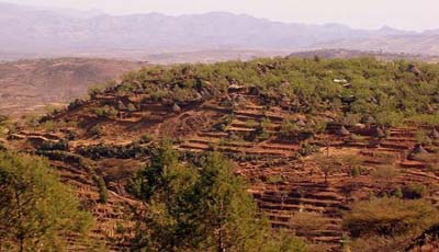 Konso Terraces 0