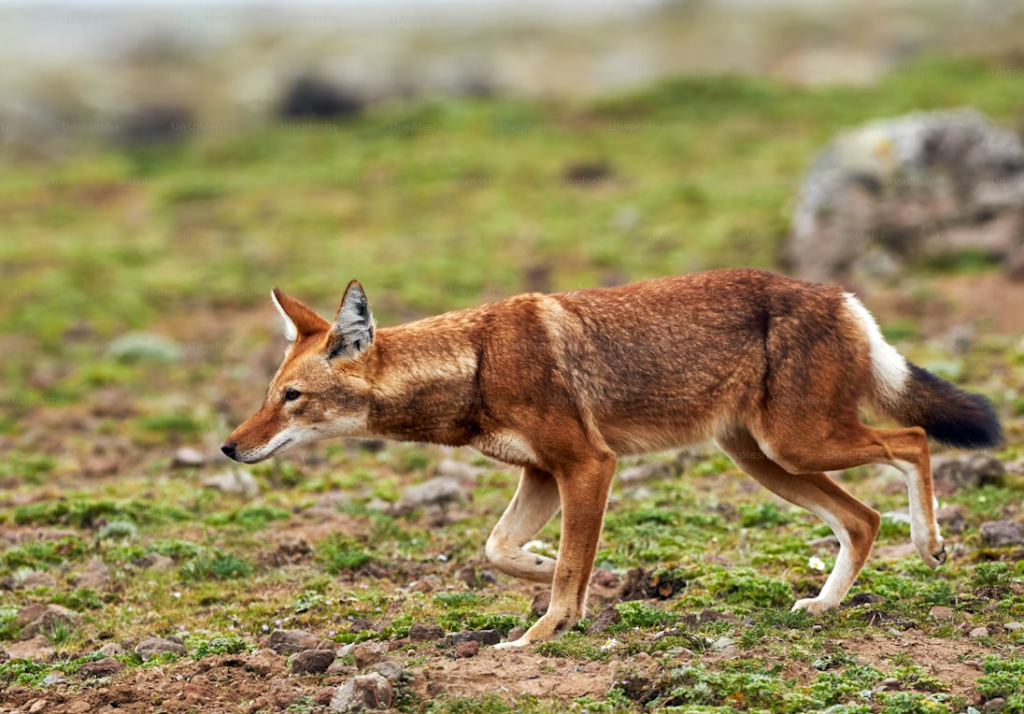 image 2026 01 22 16 22 55