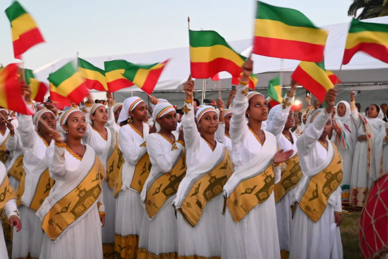 image 2026 01 23 12 31 42