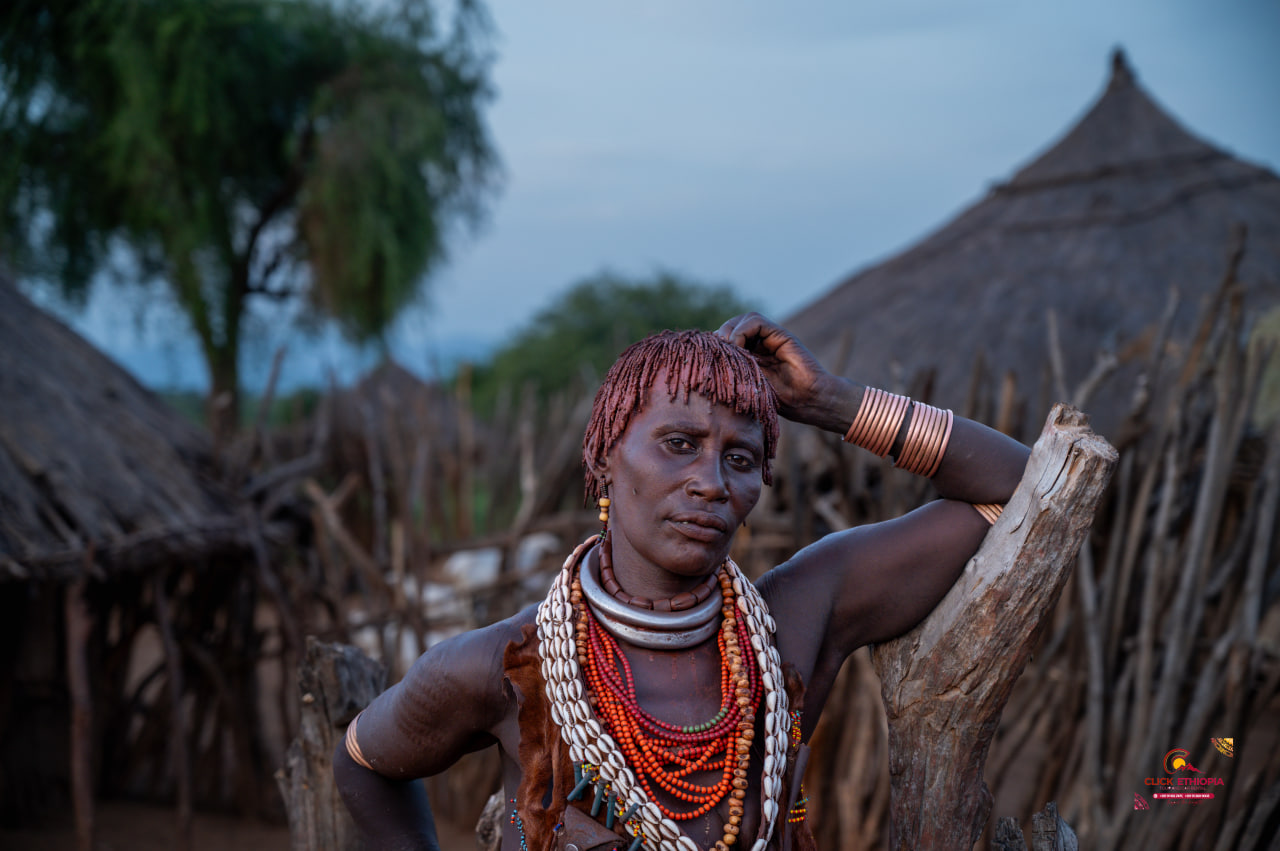 photo 2026 01 23 20 19 42