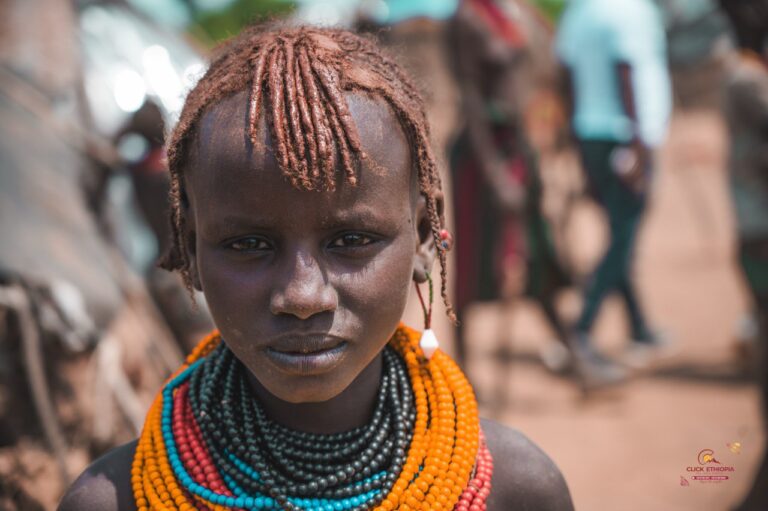 photo 2026 01 26 12 28 54