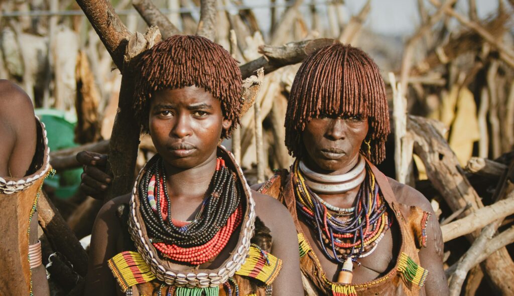 shoham avisrur wmowleffeju unsplash