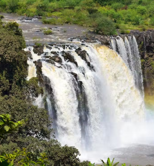 image 2026 01 26 12 23 58