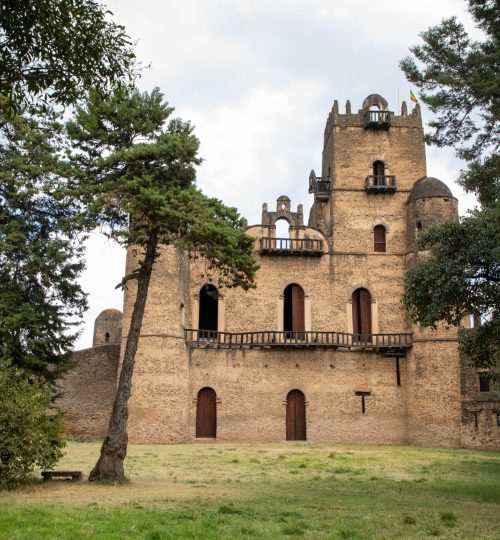 pexels abenezer 17853346